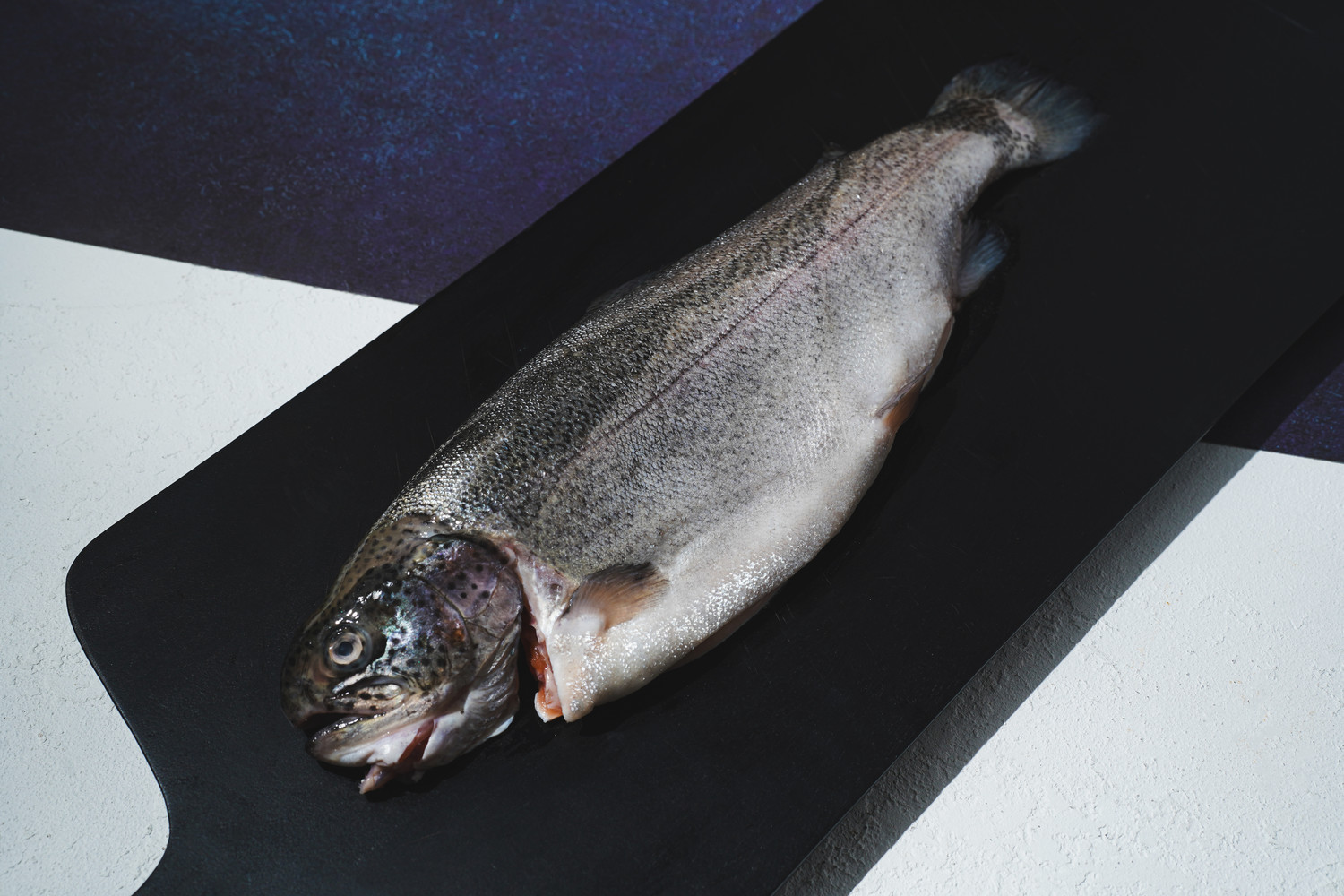 Red Trout