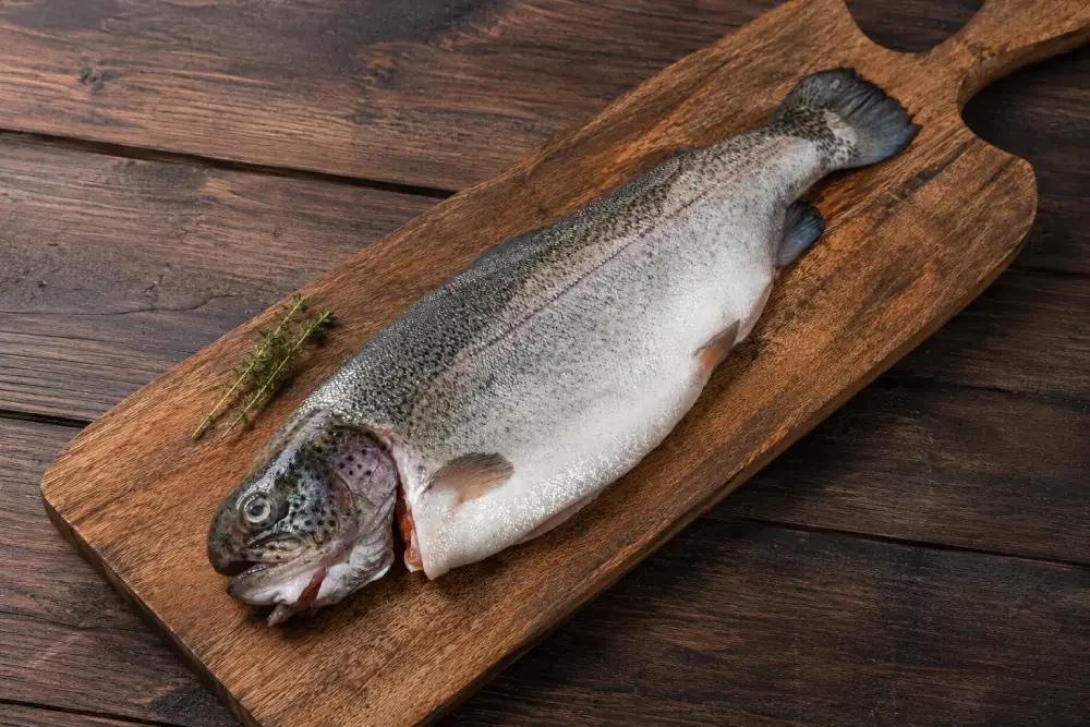Red Trout