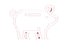 Pork